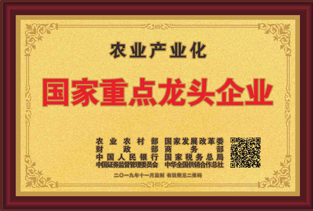 殊榮加身！湘豐茶業(yè)集團(tuán)再獲標(biāo)桿龍頭企業(yè)和優(yōu)勢特色產(chǎn)業(yè)30強(qiáng)等稱號