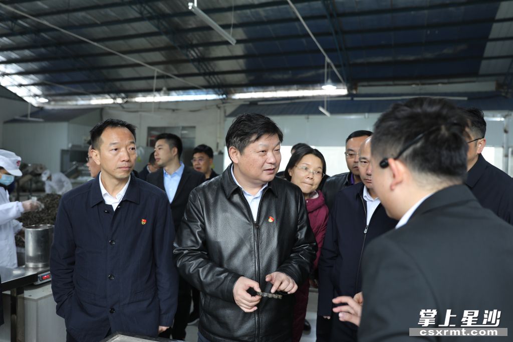 付旭明在湘豐桑植白茶洪家關工廠調研產業發展情況。.jpg